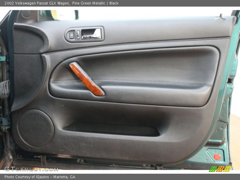 Door Panel of 2002 Passat GLX Wagon