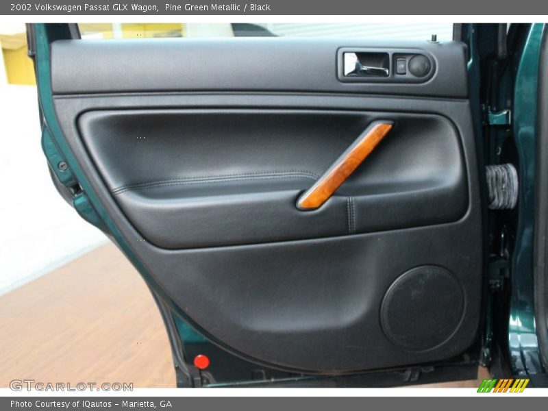 Door Panel of 2002 Passat GLX Wagon