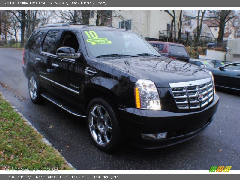 Black Raven / Ebony 2010 Cadillac Escalade Luxury AWD