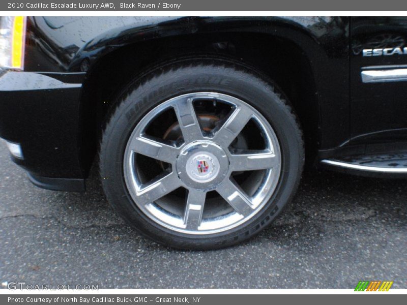 Black Raven / Ebony 2010 Cadillac Escalade Luxury AWD