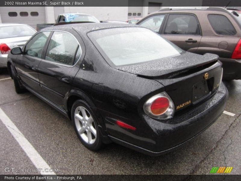 Super Black / Black 2002 Nissan Maxima SE