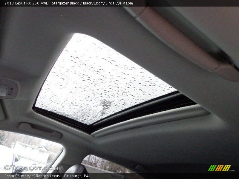 Stargazer Black / Black/Ebony Birds Eye Maple 2013 Lexus RX 350 AWD