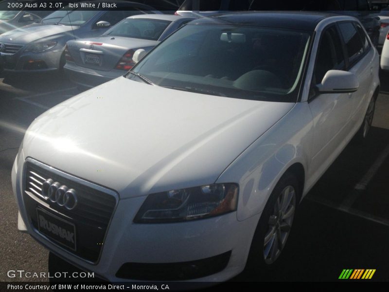 Ibis White / Black 2009 Audi A3 2.0T