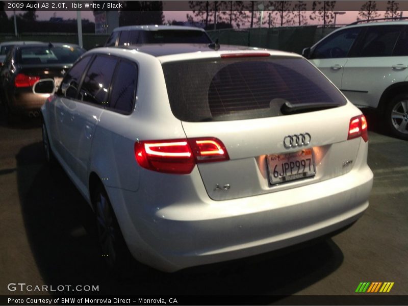 Ibis White / Black 2009 Audi A3 2.0T
