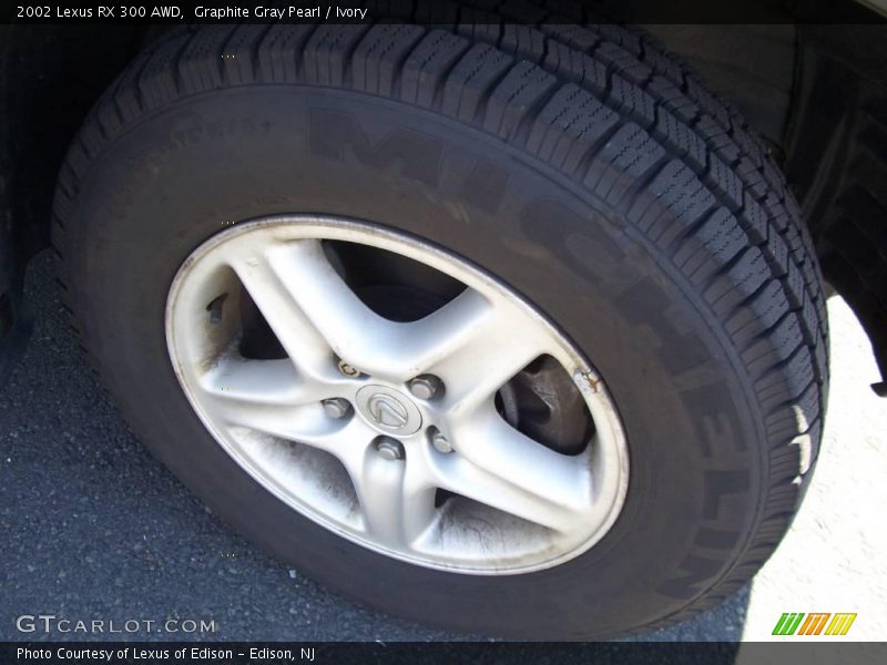 Graphite Gray Pearl / Ivory 2002 Lexus RX 300 AWD