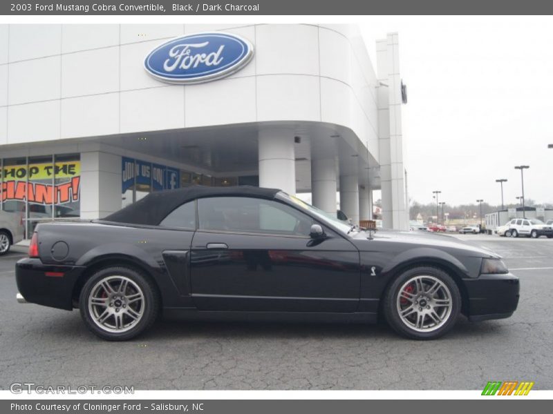  2003 Mustang Cobra Convertible Black