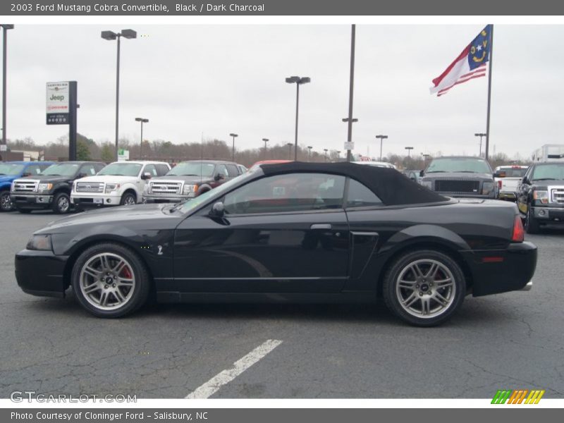 Black / Dark Charcoal 2003 Ford Mustang Cobra Convertible