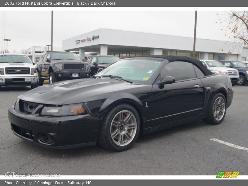 Black / Dark Charcoal 2003 Ford Mustang Cobra Convertible