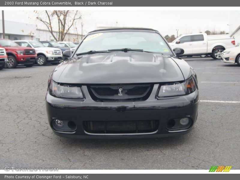 Black / Dark Charcoal 2003 Ford Mustang Cobra Convertible