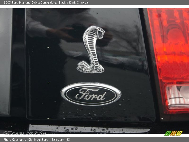 Black / Dark Charcoal 2003 Ford Mustang Cobra Convertible