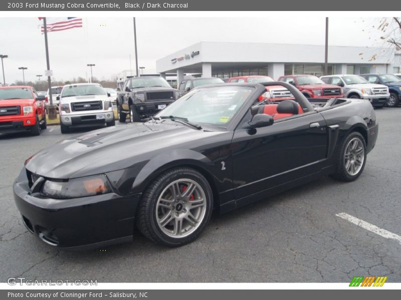 Black / Dark Charcoal 2003 Ford Mustang Cobra Convertible