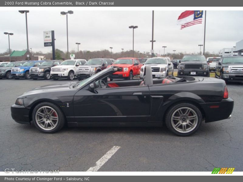  2003 Mustang Cobra Convertible Black