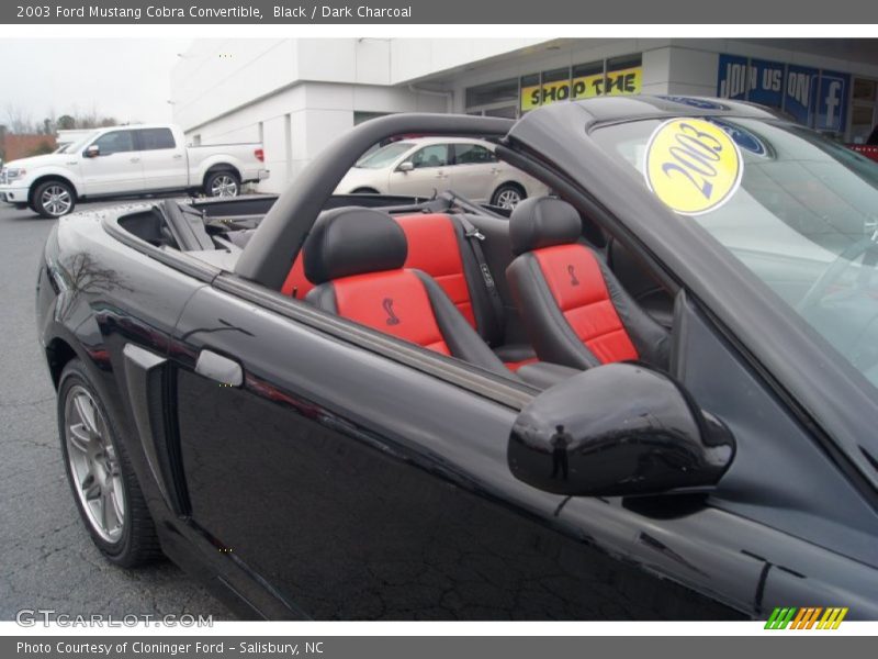 Black / Dark Charcoal 2003 Ford Mustang Cobra Convertible