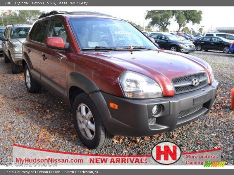 Mesa Red / Gray 2005 Hyundai Tucson GLS V6