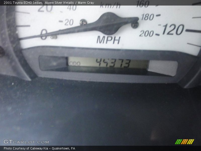 Alpine Silver Metallic / Warm Gray 2001 Toyota ECHO Sedan