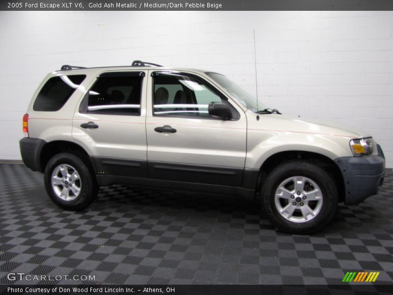 Gold Ash Metallic / Medium/Dark Pebble Beige 2005 Ford Escape XLT V6