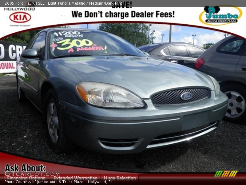 Light Tundra Metallic / Medium/Dark Flint 2005 Ford Taurus SEL