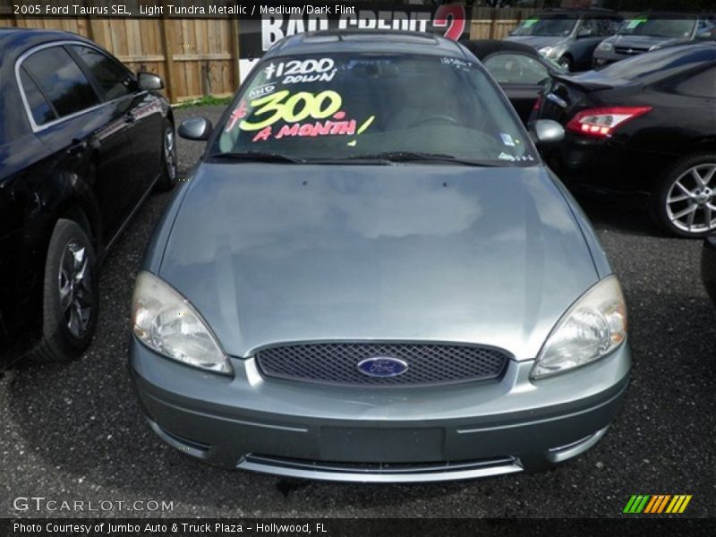 Light Tundra Metallic / Medium/Dark Flint 2005 Ford Taurus SEL