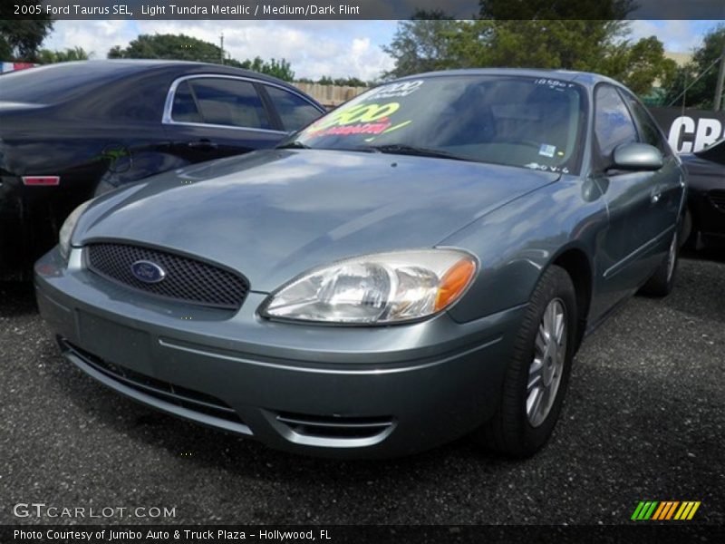 Light Tundra Metallic / Medium/Dark Flint 2005 Ford Taurus SEL