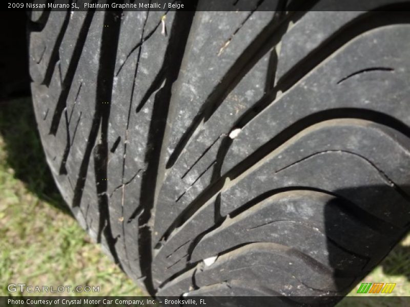 Platinum Graphite Metallic / Beige 2009 Nissan Murano SL