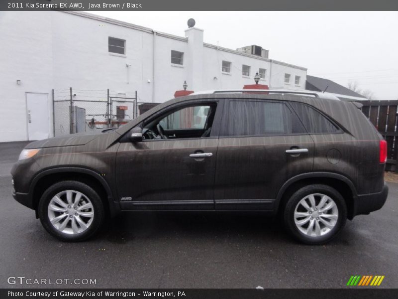 Java Brown / Black 2011 Kia Sorento EX AWD