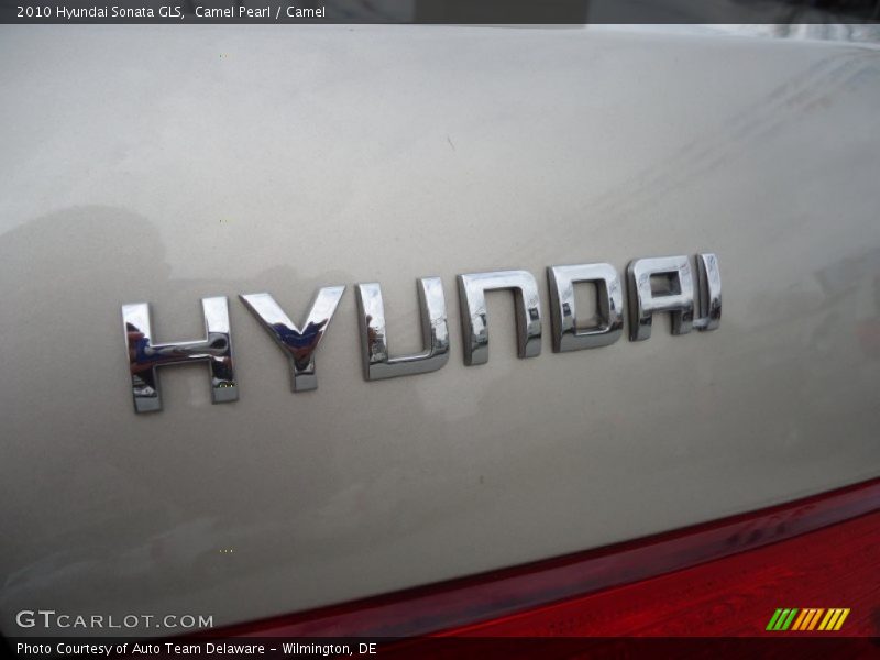 Camel Pearl / Camel 2010 Hyundai Sonata GLS