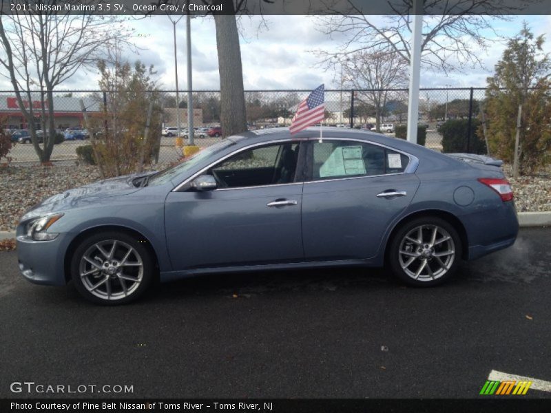 Ocean Gray / Charcoal 2011 Nissan Maxima 3.5 SV