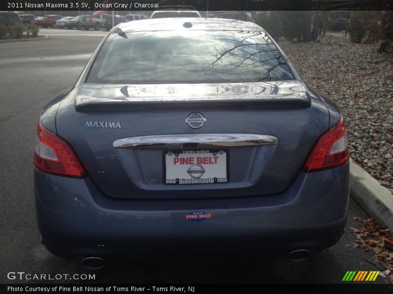 Ocean Gray / Charcoal 2011 Nissan Maxima 3.5 SV