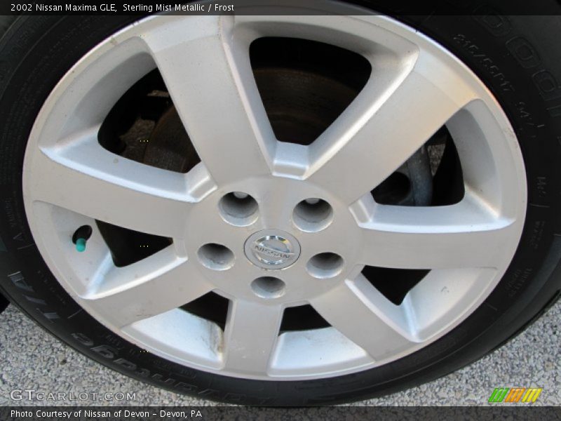 Sterling Mist Metallic / Frost 2002 Nissan Maxima GLE