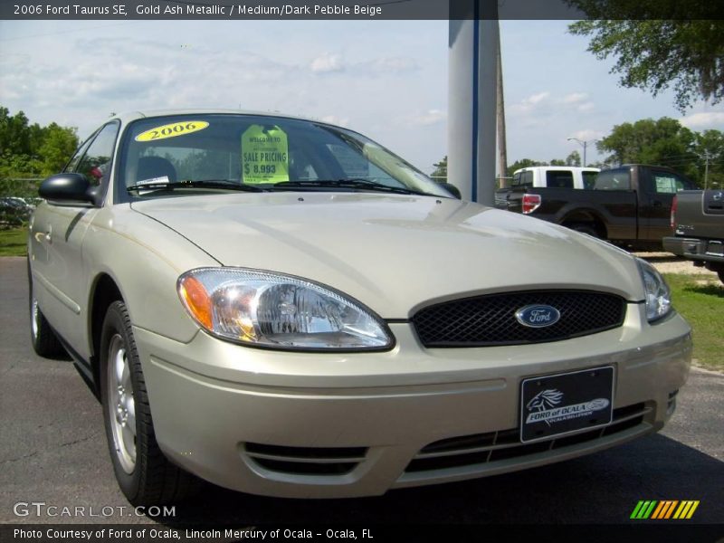 Gold Ash Metallic / Medium/Dark Pebble Beige 2006 Ford Taurus SE