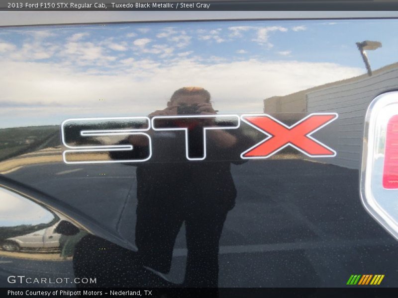 Tuxedo Black Metallic / Steel Gray 2013 Ford F150 STX Regular Cab