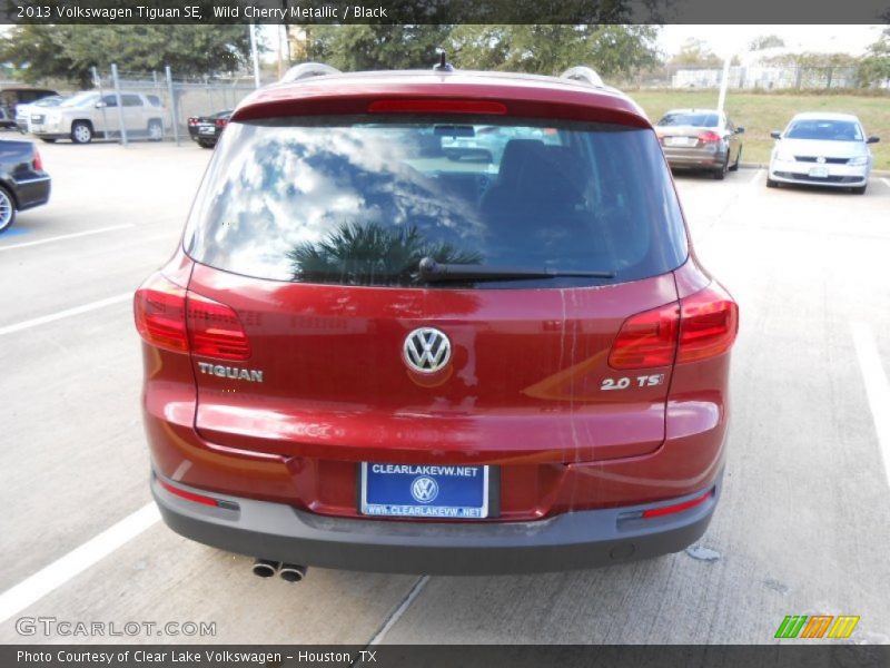 Wild Cherry Metallic / Black 2013 Volkswagen Tiguan SE