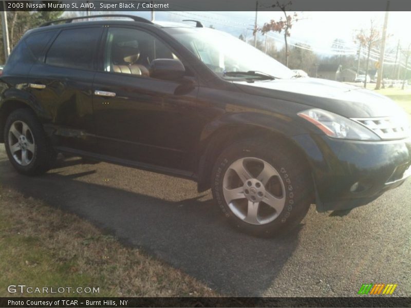 Super Black / Cabernet 2003 Nissan Murano SL AWD