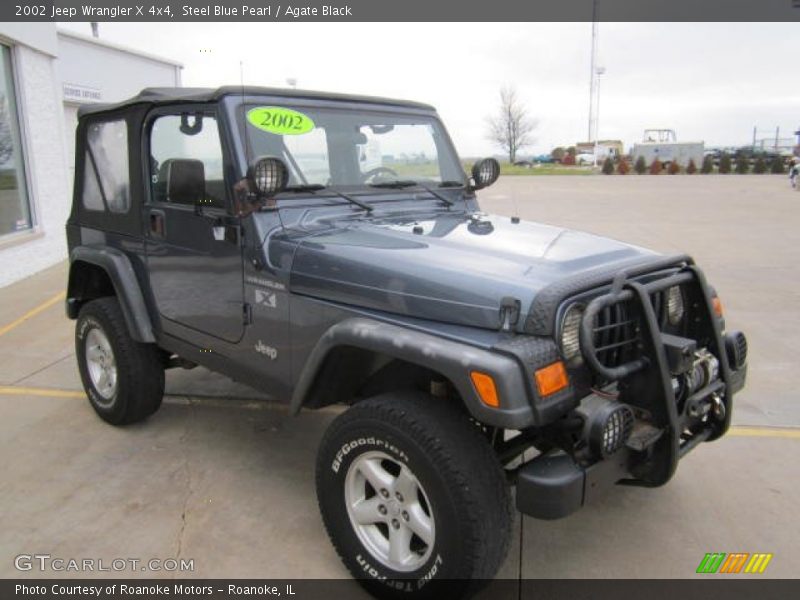 Steel Blue Pearl / Agate Black 2002 Jeep Wrangler X 4x4