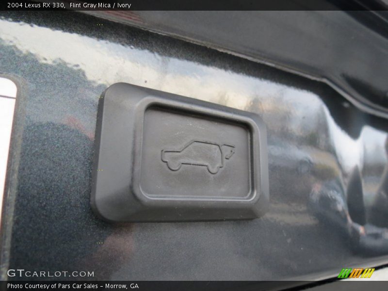 Flint Gray Mica / Ivory 2004 Lexus RX 330