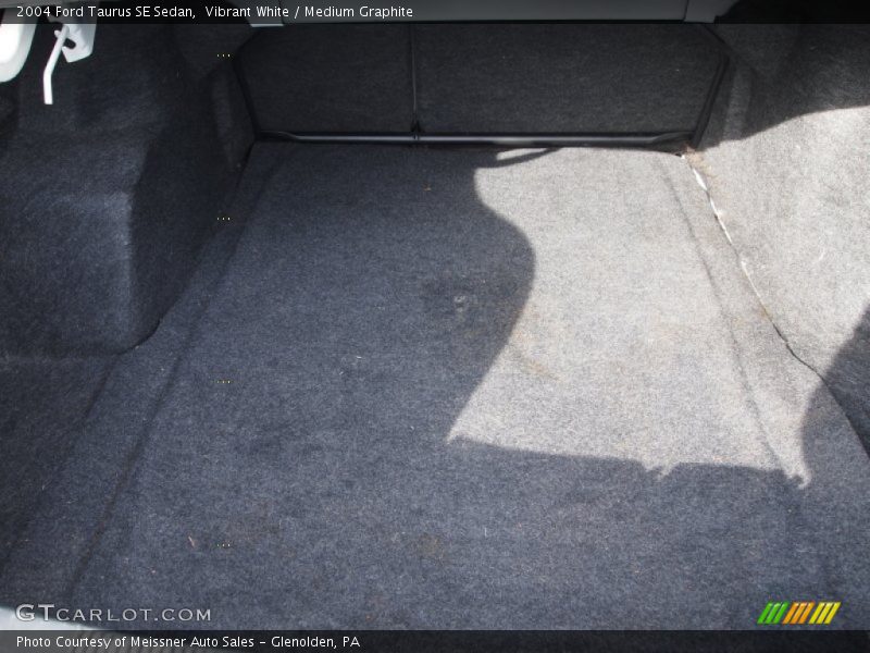 Vibrant White / Medium Graphite 2004 Ford Taurus SE Sedan