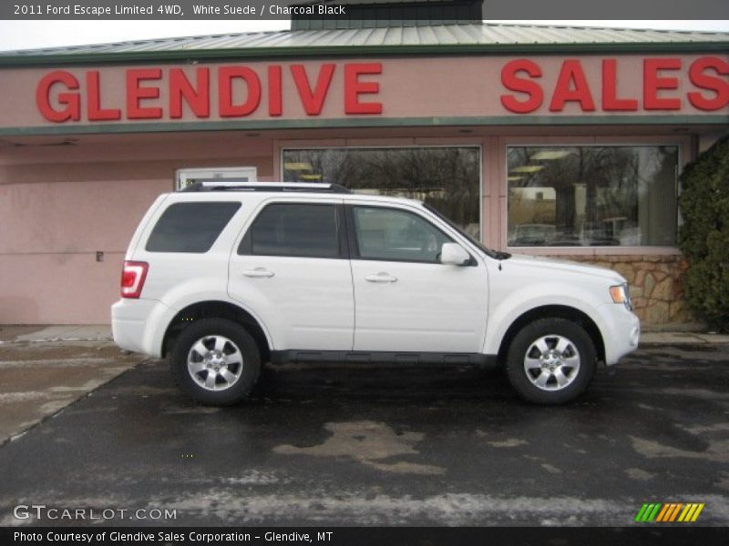 White Suede / Charcoal Black 2011 Ford Escape Limited 4WD