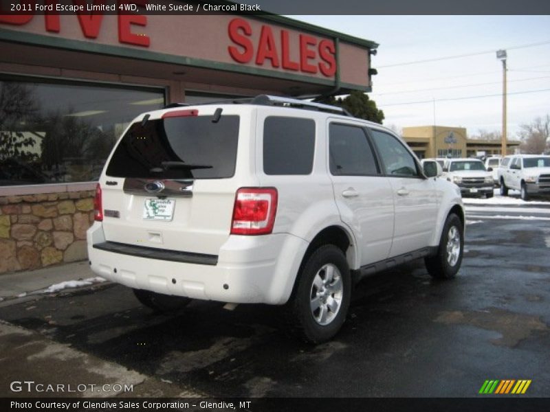 White Suede / Charcoal Black 2011 Ford Escape Limited 4WD