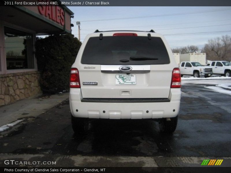 White Suede / Charcoal Black 2011 Ford Escape Limited 4WD