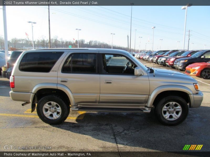 Dorado Gold Pearl / Oak 2002 Toyota 4Runner Limited 4x4