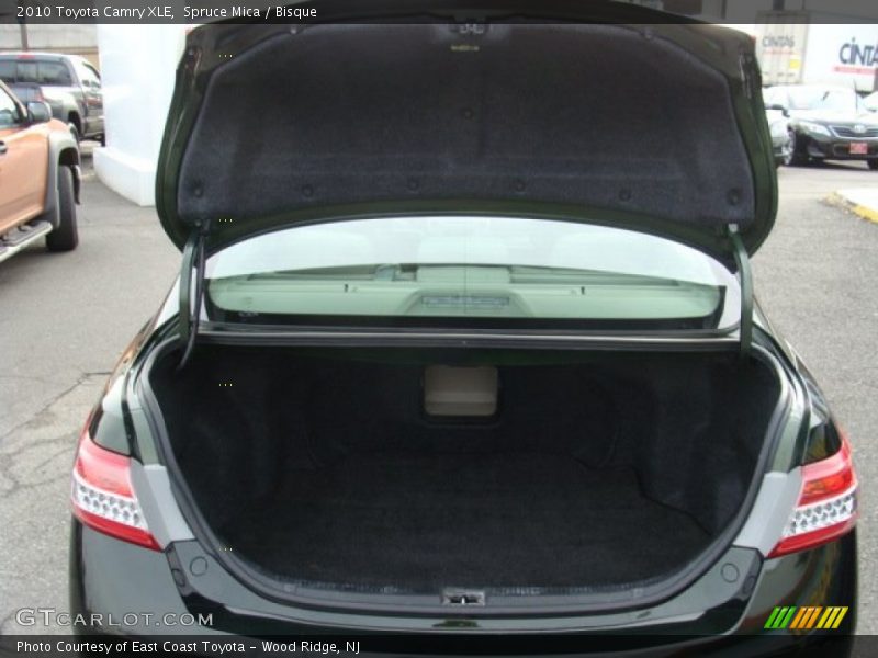 Spruce Mica / Bisque 2010 Toyota Camry XLE