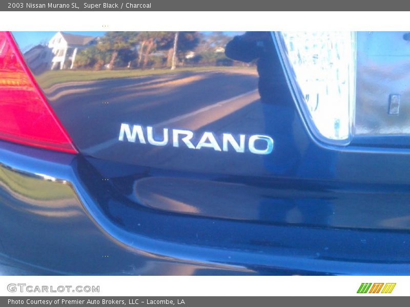 Super Black / Charcoal 2003 Nissan Murano SL