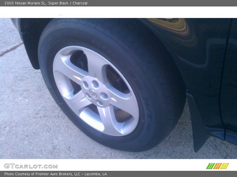 Super Black / Charcoal 2003 Nissan Murano SL