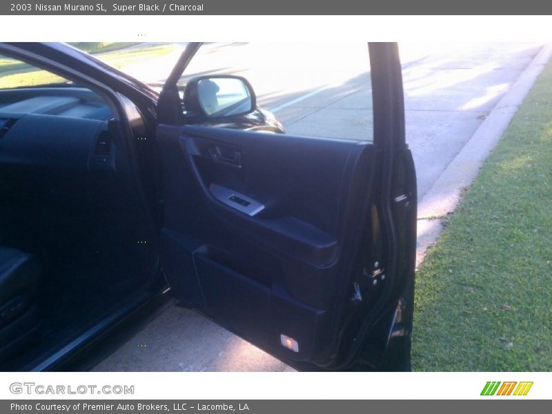 Super Black / Charcoal 2003 Nissan Murano SL