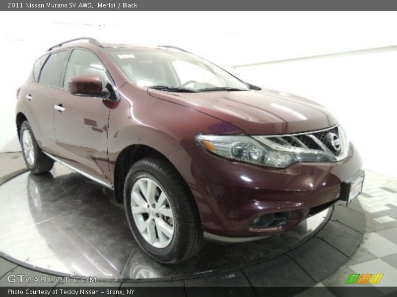 Merlot / Black 2011 Nissan Murano SV AWD