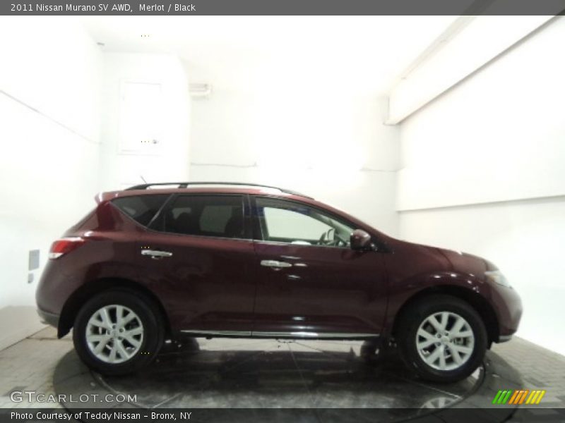 Merlot / Black 2011 Nissan Murano SV AWD