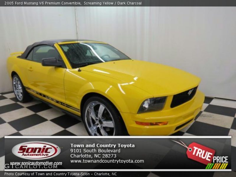 Screaming Yellow / Dark Charcoal 2005 Ford Mustang V6 Premium Convertible