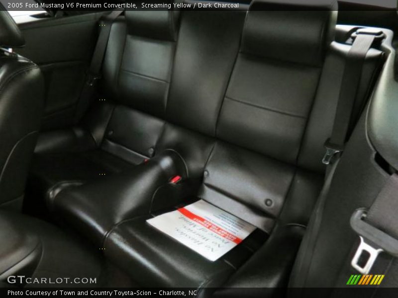Screaming Yellow / Dark Charcoal 2005 Ford Mustang V6 Premium Convertible