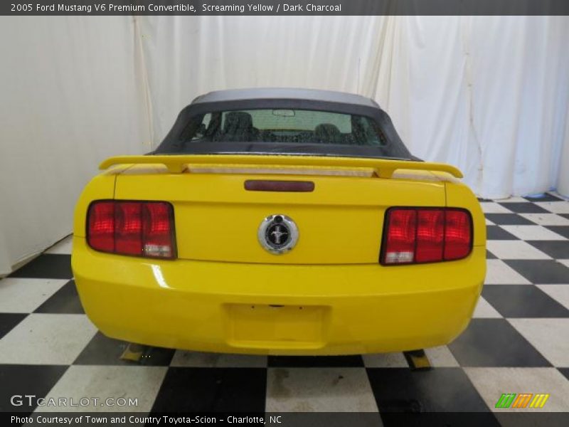 Screaming Yellow / Dark Charcoal 2005 Ford Mustang V6 Premium Convertible