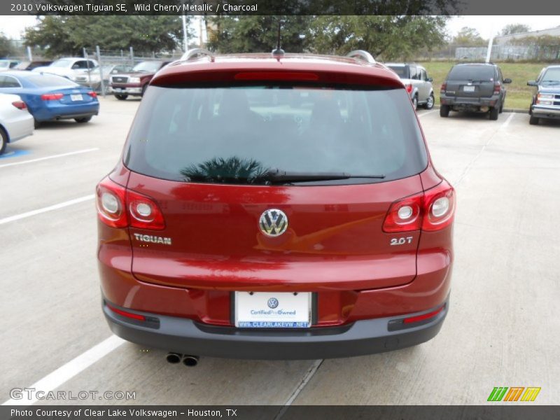Wild Cherry Metallic / Charcoal 2010 Volkswagen Tiguan SE